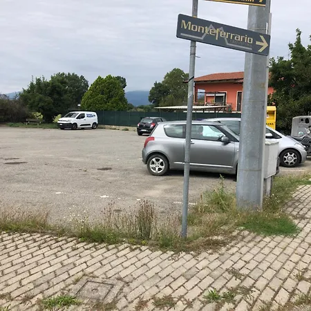 Spolina Bi *